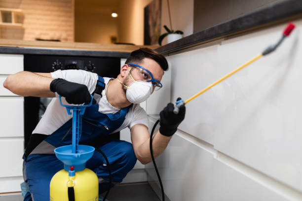 Best Affordable Pest Control Services  in Conway Springs, KS