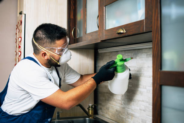 Best Ant Control Services  in Conway Springs, KS
