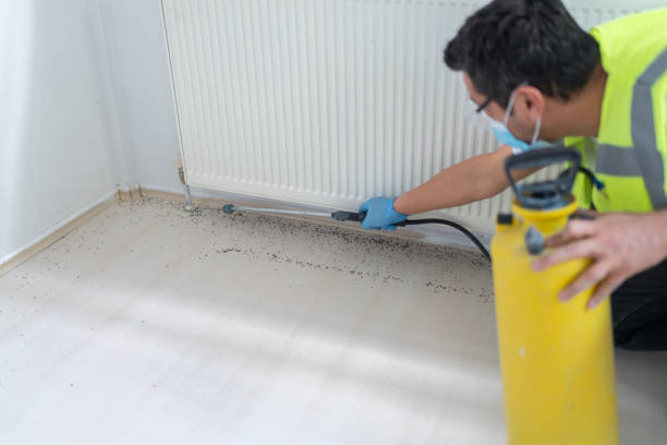Best Ant Control Services  in Conway Springs, KS